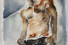 07Torse-Series-Pump