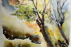 03Autumn-Glens-of-Antrim