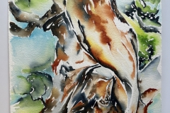 03Concerning-Bark