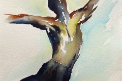 upward