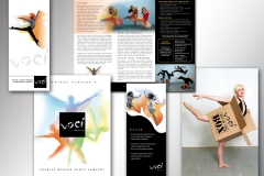 01voci